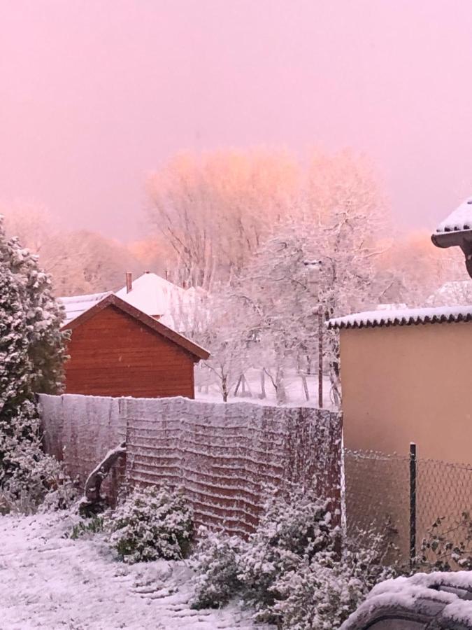 Citellus Apartman Dunasziget Bagian luar foto