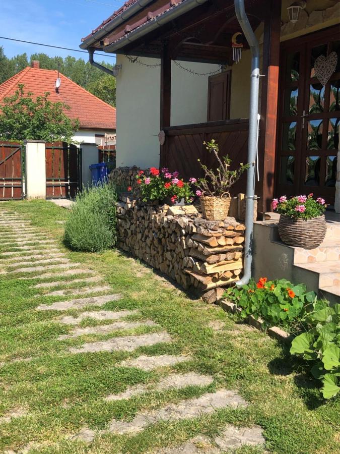 Citellus Apartman Dunasziget Bagian luar foto