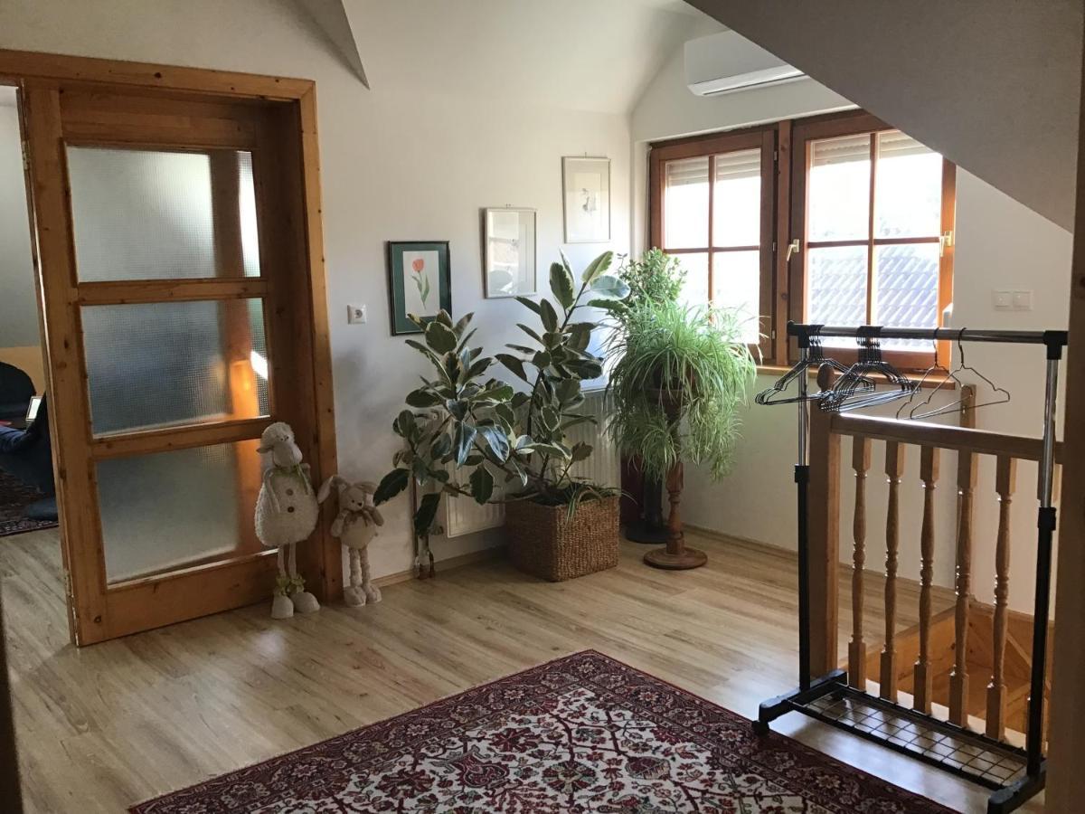 Citellus Apartman Dunasziget Bagian luar foto