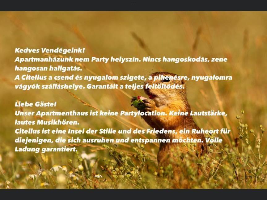 Citellus Apartman Dunasziget Bagian luar foto